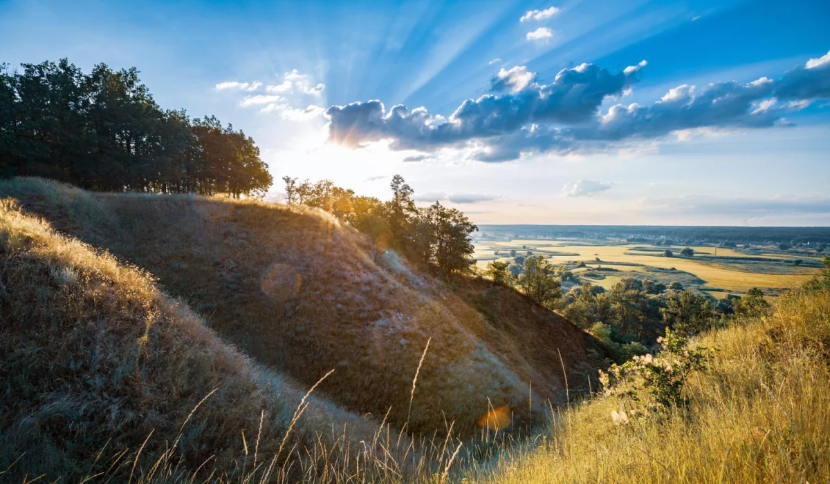 być fit? Czy warto?
