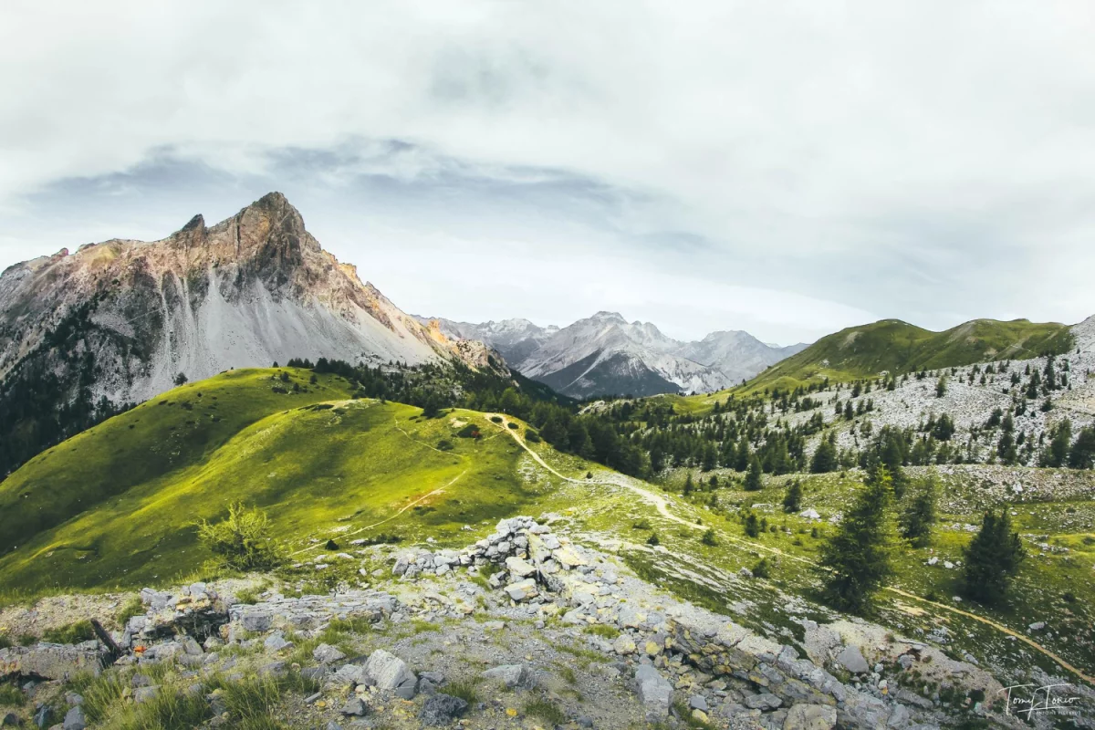 Co warto wiedzieć o kuchni roślinnej