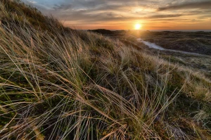 Czy można kupić sprzęt audio po godzinach?